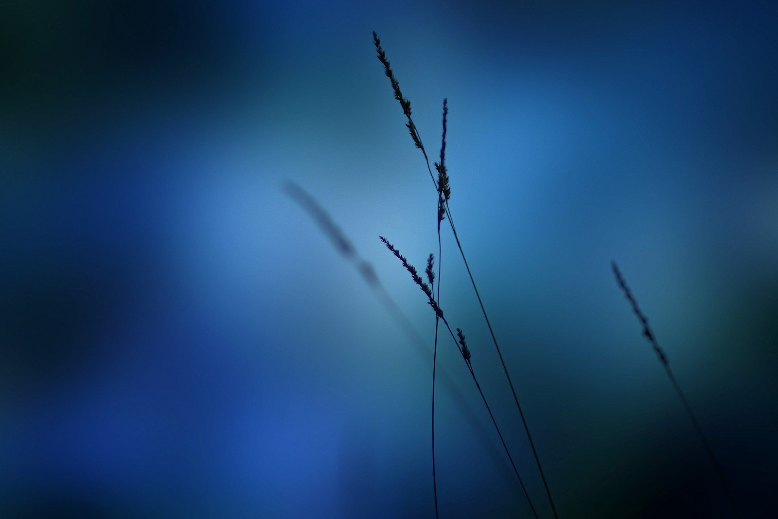 Blues