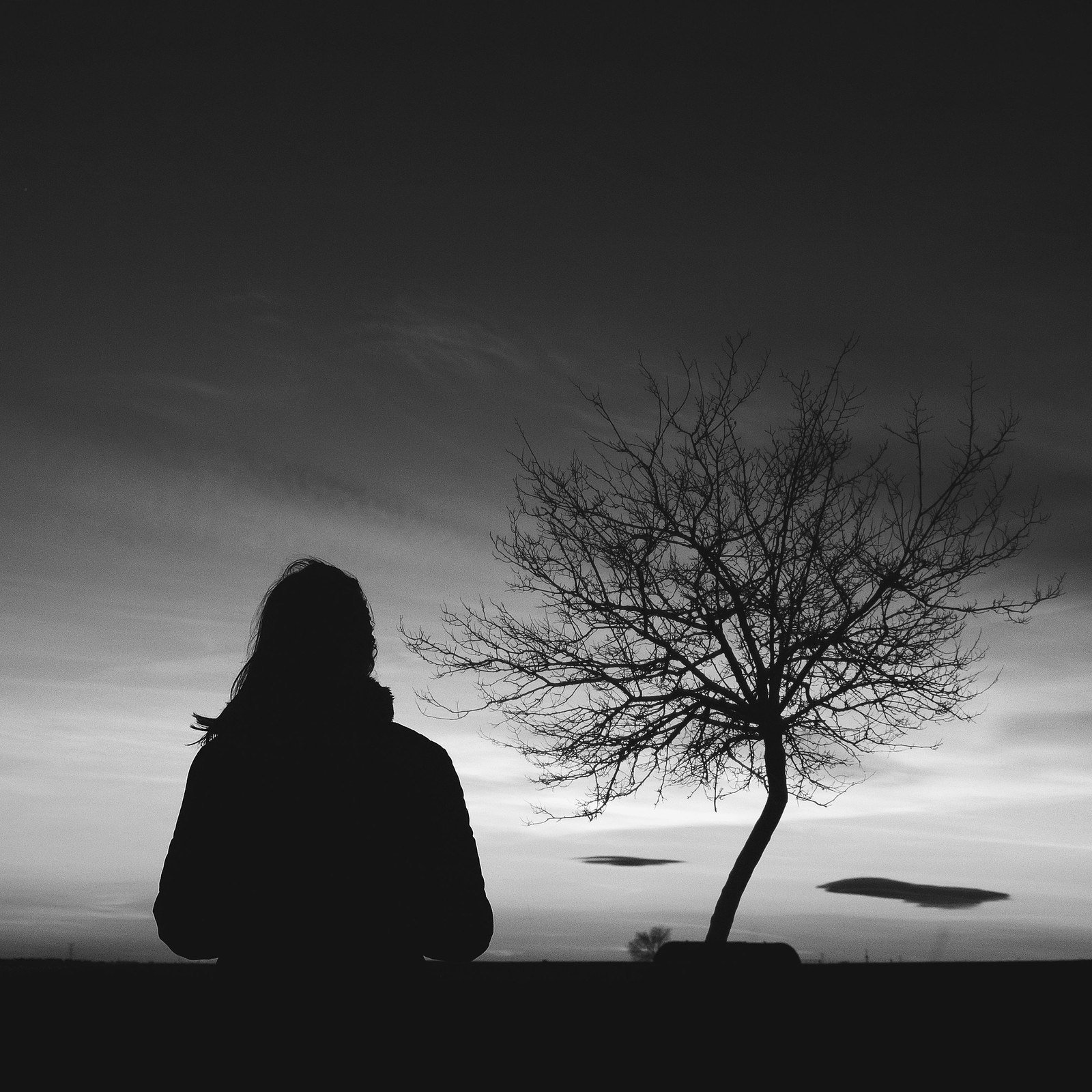 Contemplaci�n