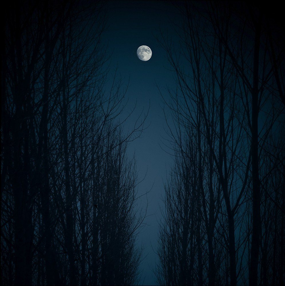 La noche oscura