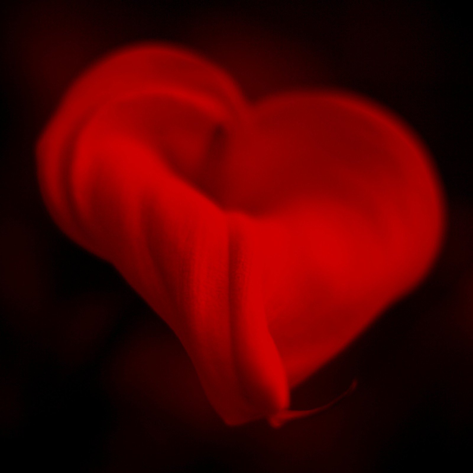 Red Heart