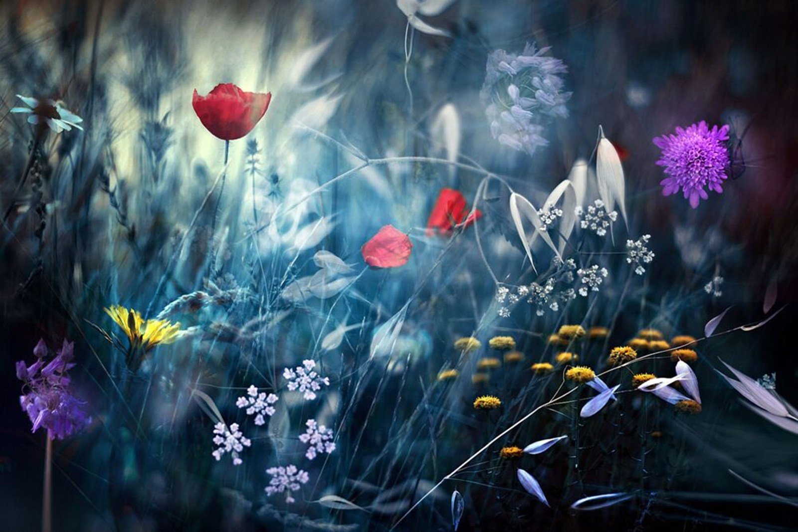 Naturaleza