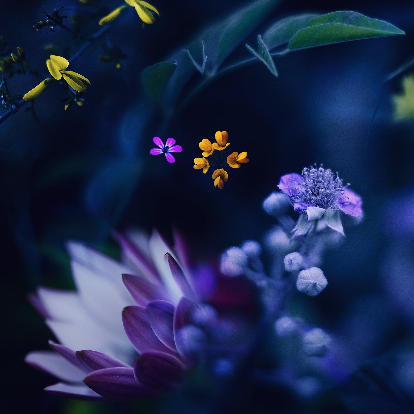 Seasons