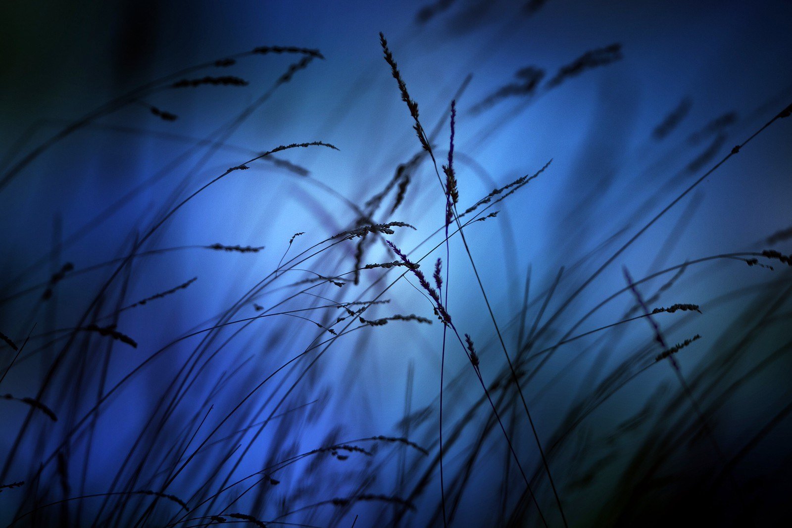 Un viento azul