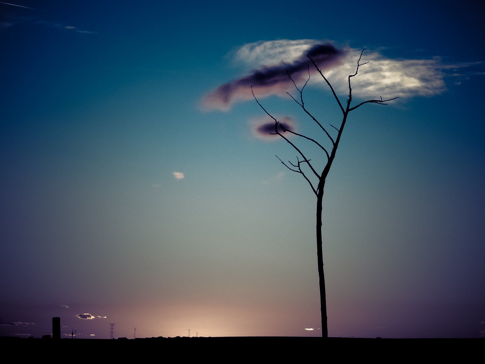 Y la nube va