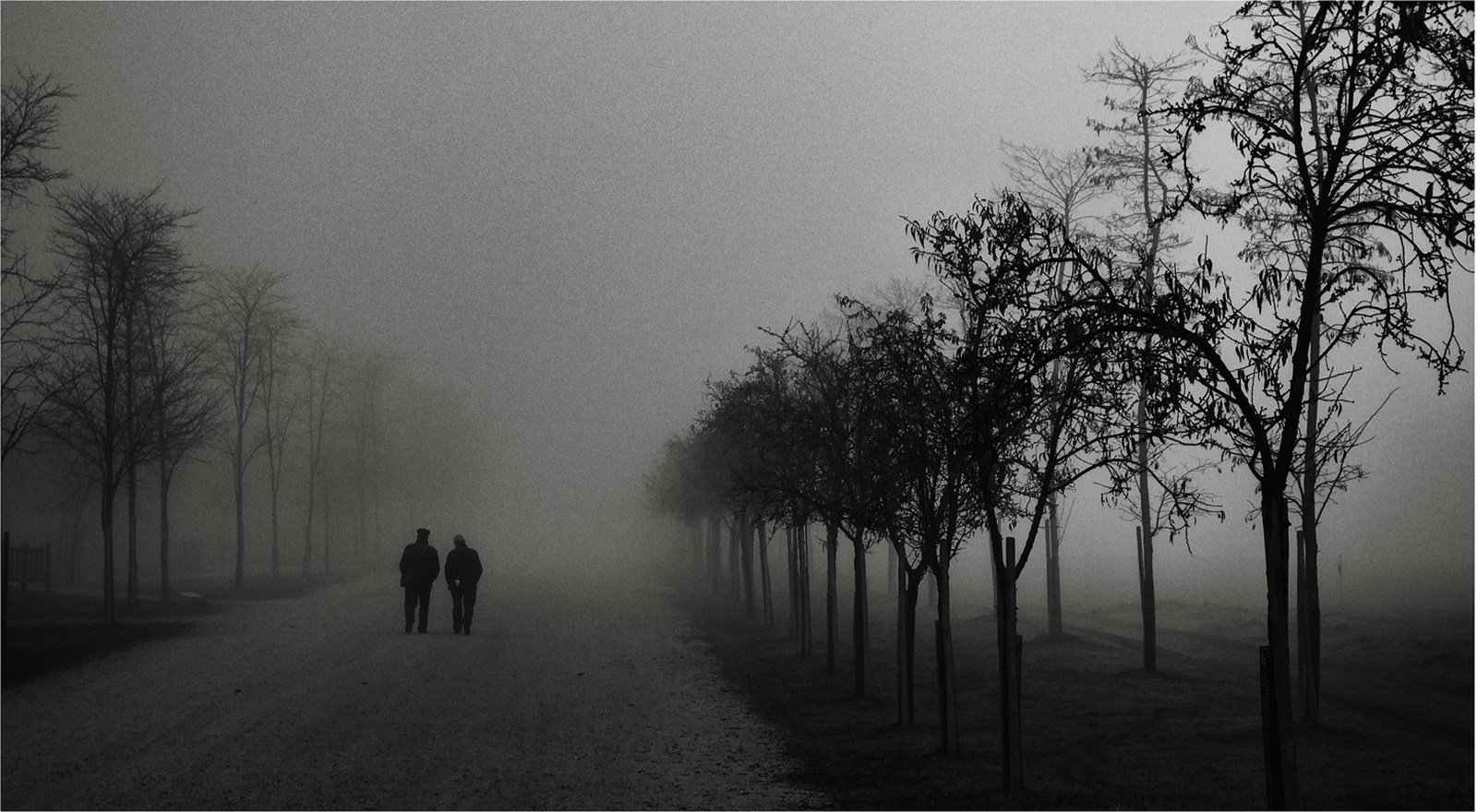 Conversación y niebla