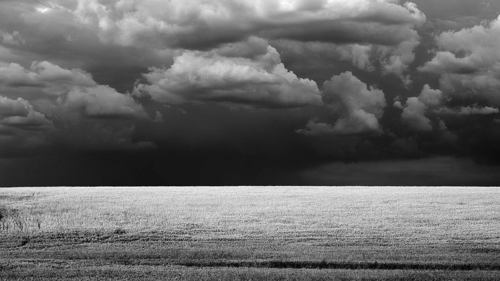 De luz, tierra y cielo