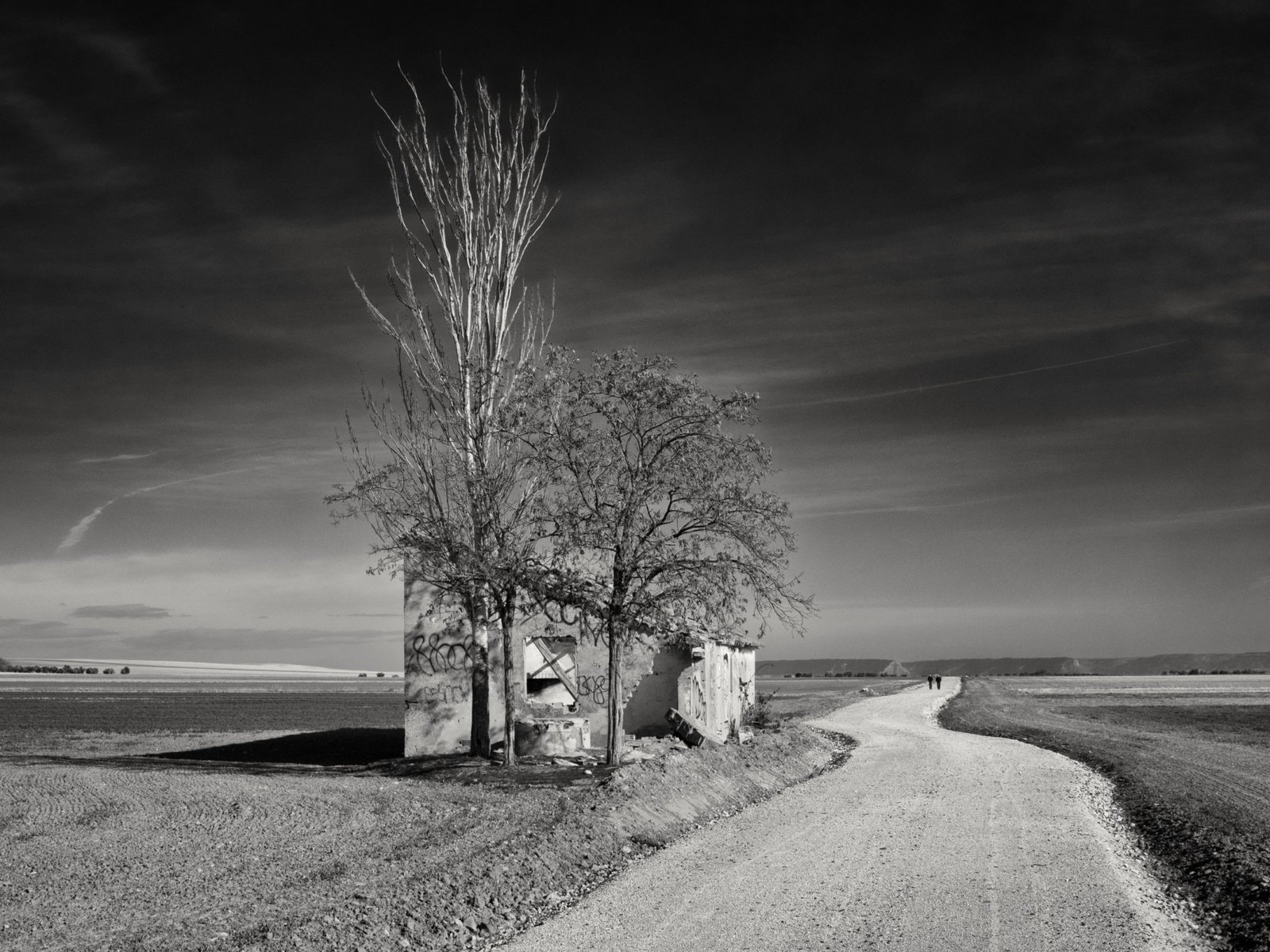 El camino