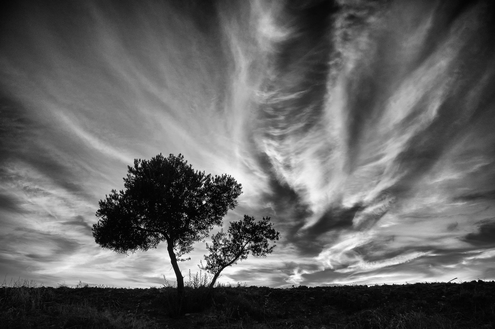 El cielo