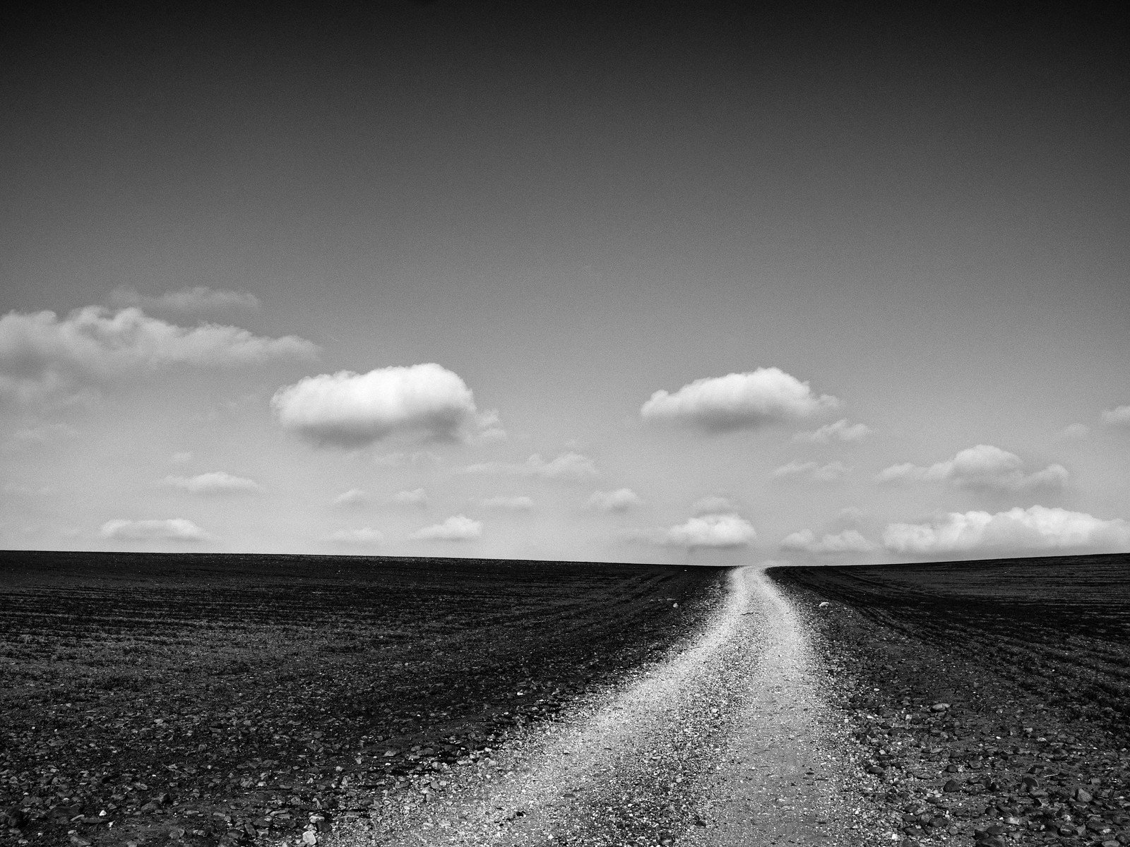 El viaje