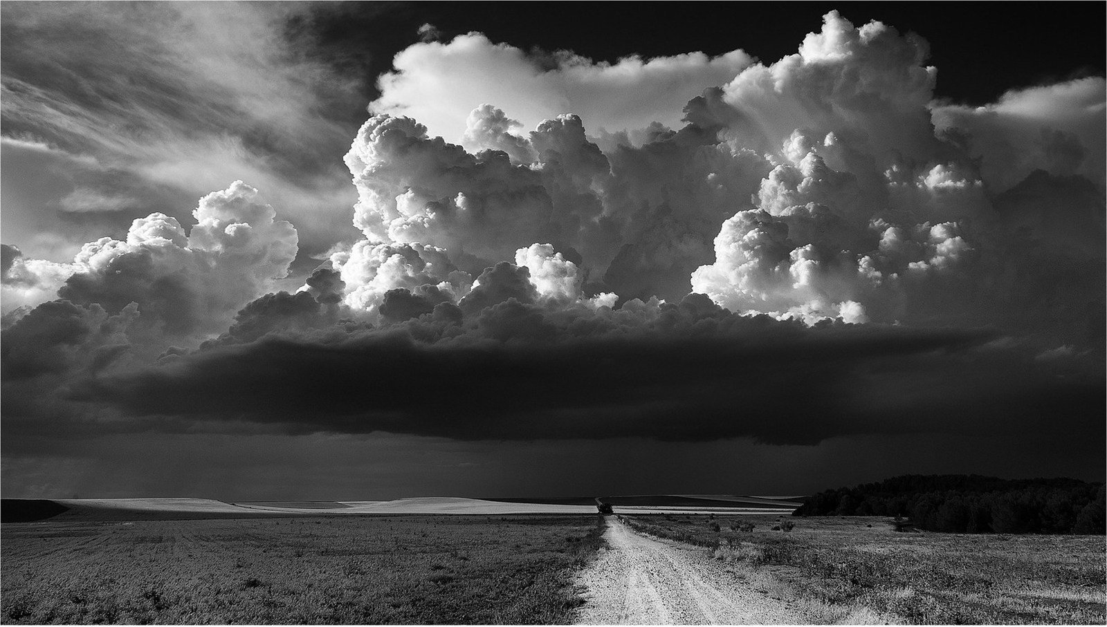 Heaven's Gate