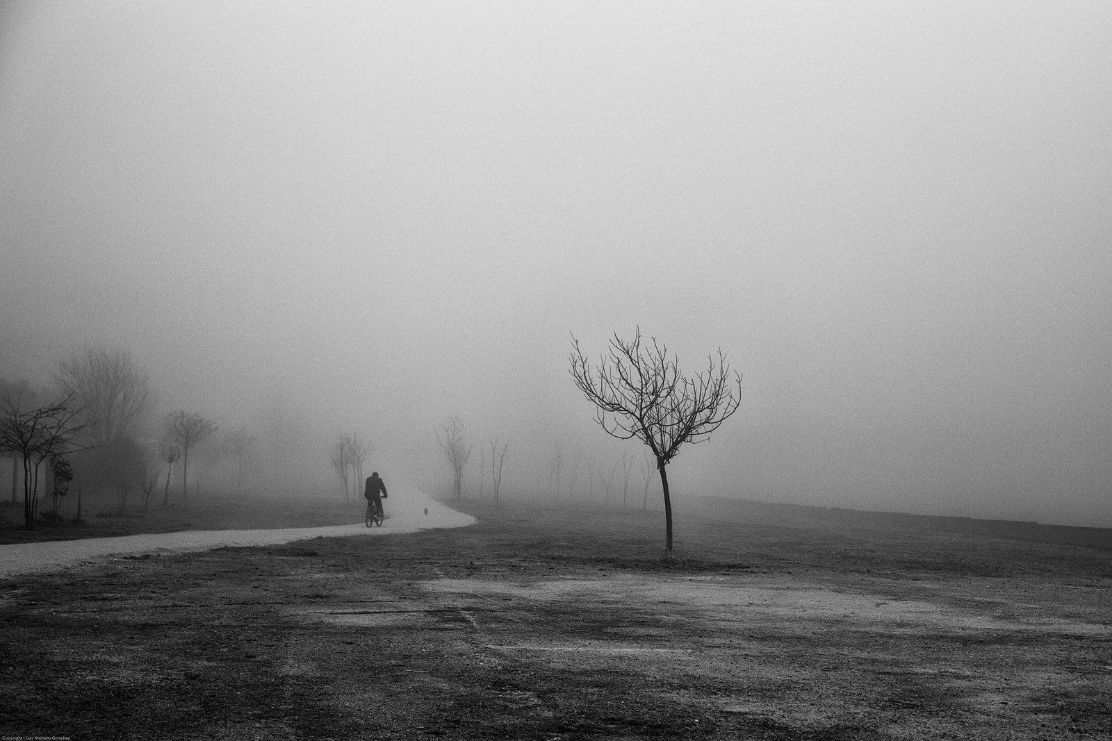La niebla