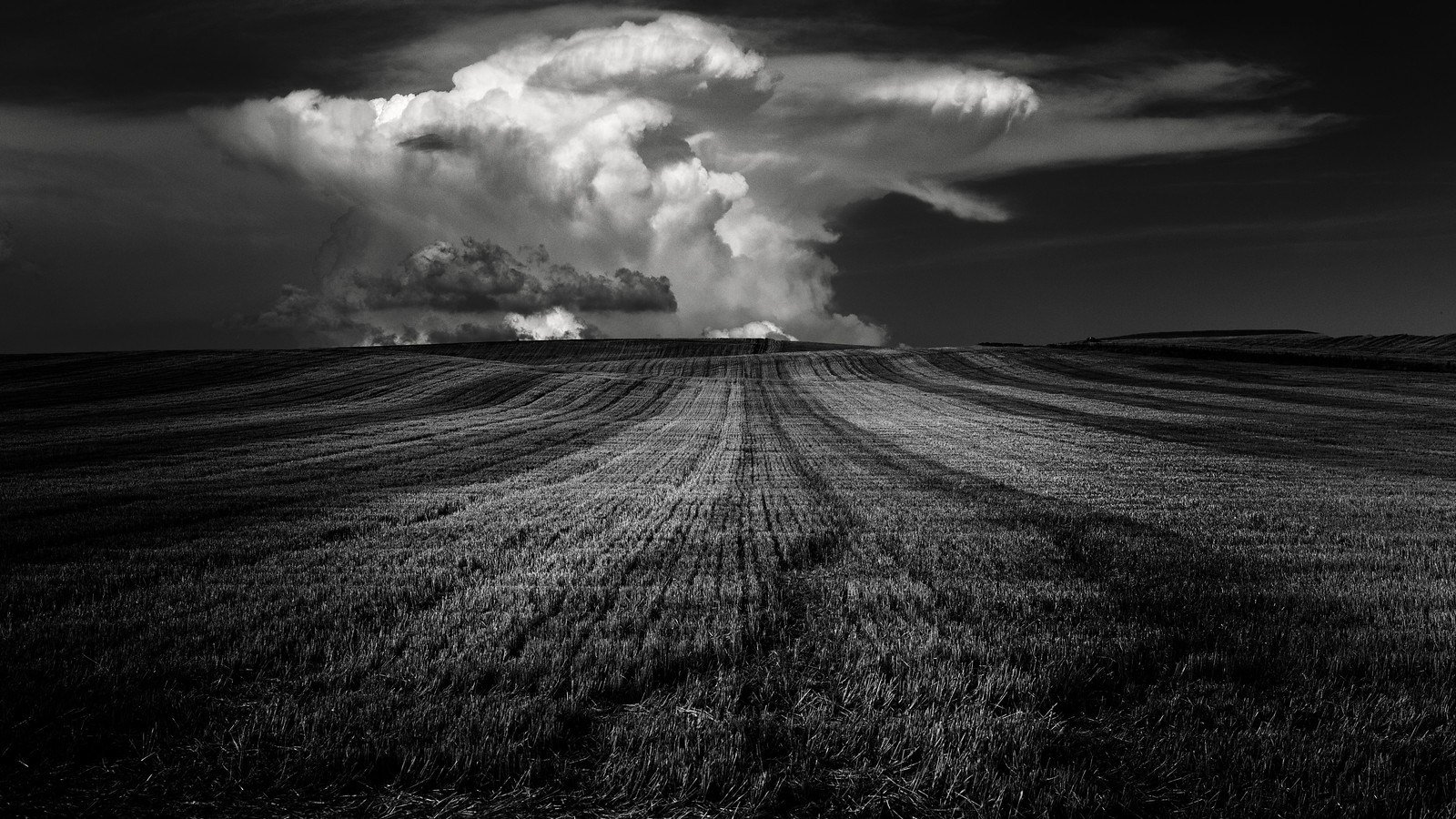 La tormenta