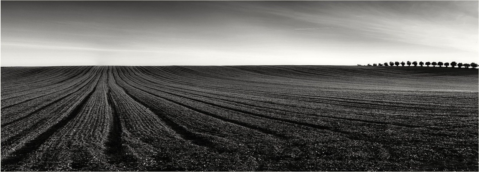 Mar de tierra