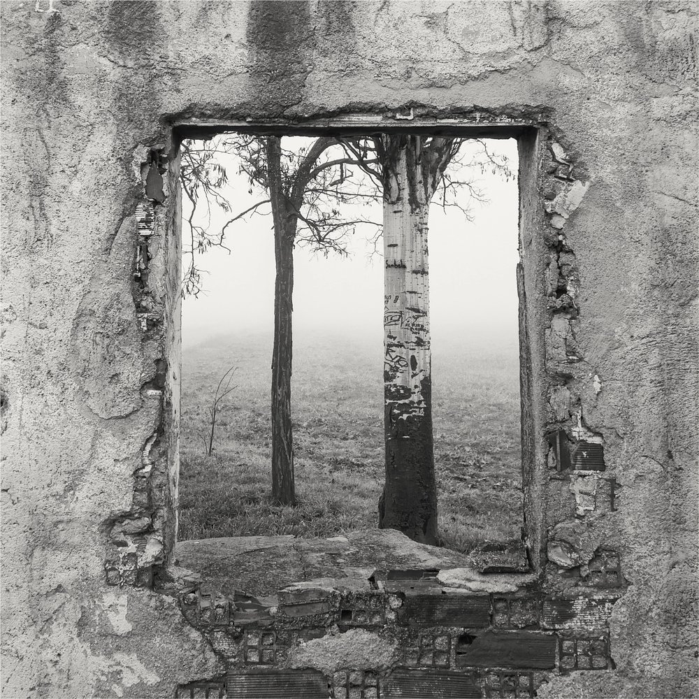 Window