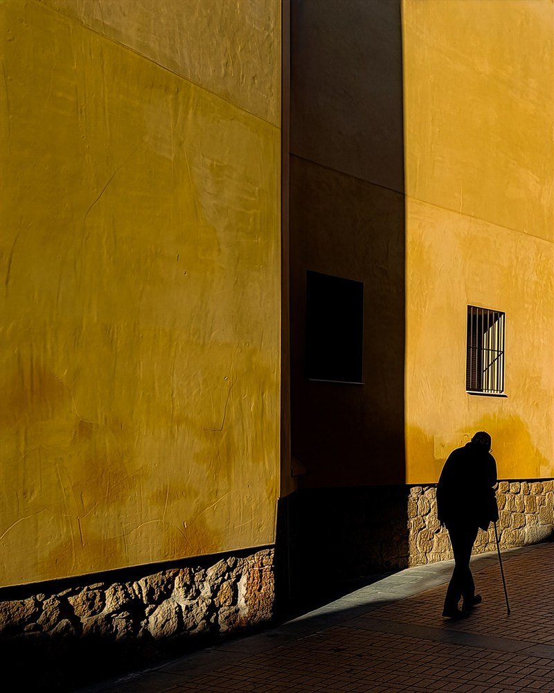 Entre sombras